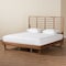 Baxton Studio Lucie Modern Walnut Brown Finished Wood King Size Platform Bed 184-11149-9412-Zoro - alternate 8